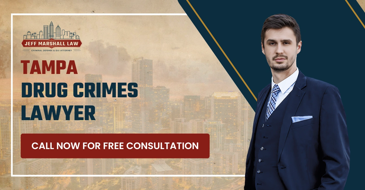 Tampa Drug Crimes Lawyer